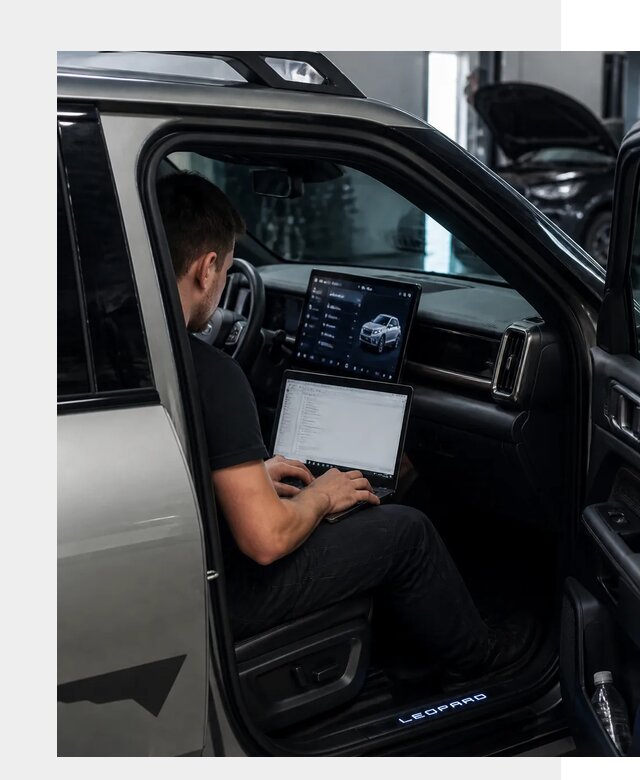 Русификация BYD Leopard 3 в Усинске по цене от 20374 р. | ФастМобиль-Снс